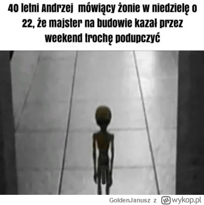 GoldenJanusz - #przegryw #pracbaza #robpill