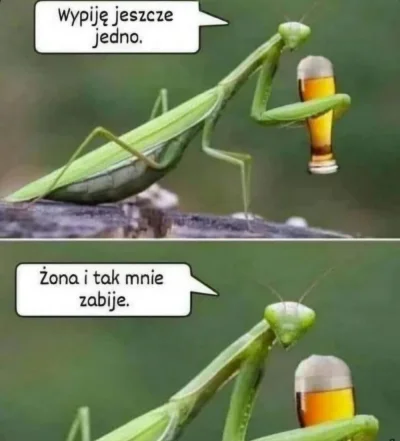 RitmoXL - @wybryk_natury: ( ͡°( ͡° ͜ʖ( ͡° ͜ʖ ͡°)ʖ ͡°) ͡°)