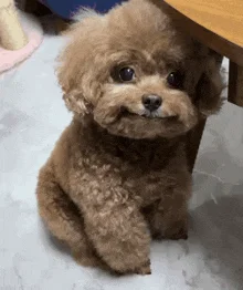 dywergent - dobra ta pizza mrozona, smakuje jak z restauracji, szkoda ze tak rzadko j...