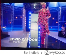 Springfield - >programowanie społeczeństwa w covid jak i propaganda, to był majstersz...