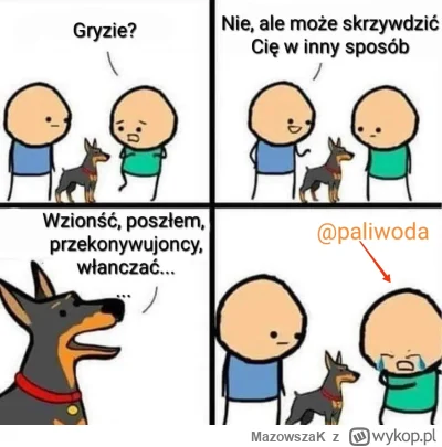 MazowszaK