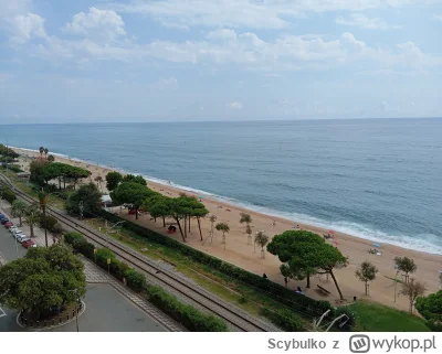 Scybulko - #bonzo #podrozujzwykopem 

Nad morzu w Bełchatowie. Khyyy mam bete z fina ...