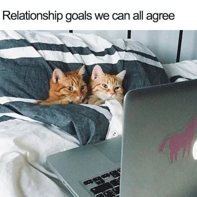 Atreyu - @wybryk_natury: ( ͡° ᴥ ͡°)