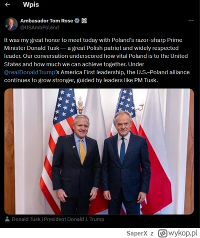 SaperX - @tulipana: "szybkooo mati trzeba coś wysmażyć w necie bo się skapną"