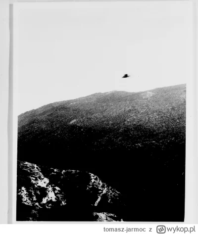 tomasz-jarmoc - @tomasz-jarmoc: