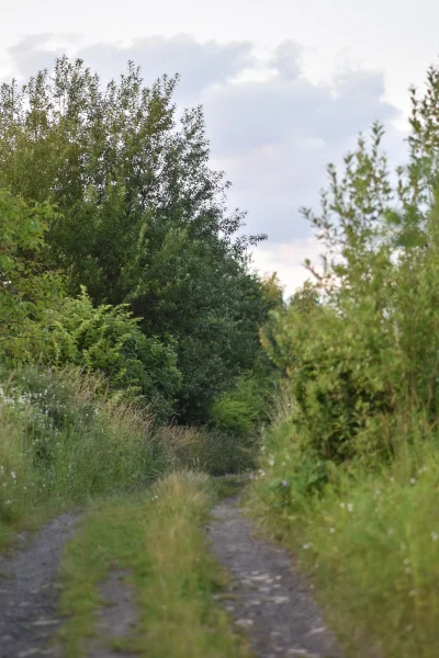 remlezar - #przegryw

Huop poszedł na #spierdotrip, miał pić jakieś alkogole, ale coś...