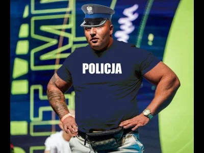 misrzmocyognia - "Denis" to projekt polskiej policji majacy na celu podstawic policja...