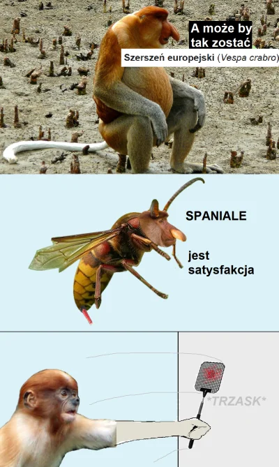 bo-banley - #konkursnanajbardziejgownianymemznosaczem