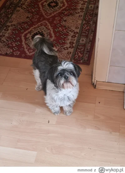 mmmod - @mmmod: ciężko uwierzyć że tak nagle