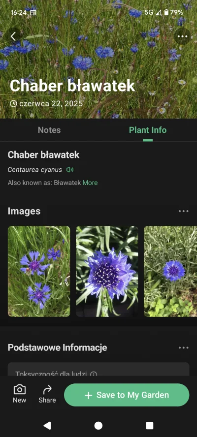 ulegly - @dqdq1: mi AI pokazywało to 
@Linnior88