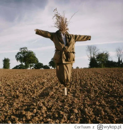 CorTuum - @GlenGlen12: