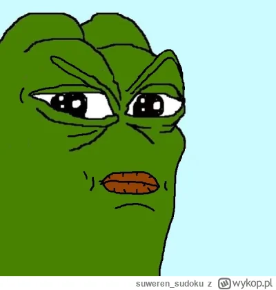 suweren_sudoku - Stałem się tym mitycznym głupim prawakiem, który sobie z nakrętkami ...