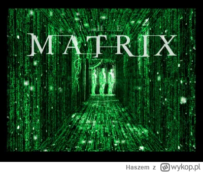 Haszem - Błąd systemu, kurde Matrix...