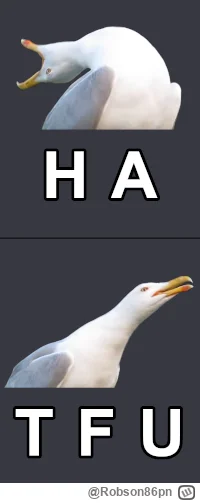 Robson86pn - Po zakończeniu wojny niemiaszki poleca po kolanach do ruskich.