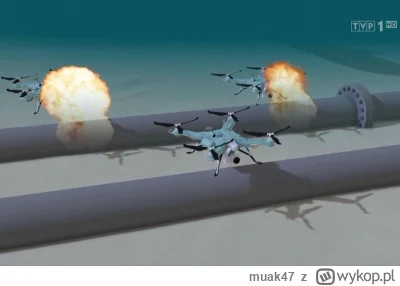 muak47 - Ponoć te drony były polskiej produkcji ;-)