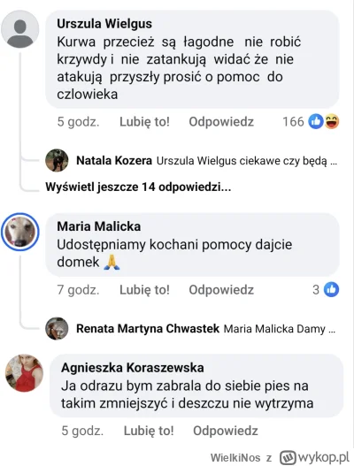 WielkiNos - @Perkelev w komentarzavh więcej histerii.