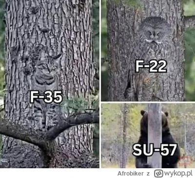 Afrobiker - Dobranoc 👋