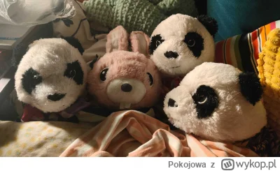 Pokojowa - Dziś nie pijcie tyle... 

Ićcie jus kochani spać..

¯\(ツ)/¯