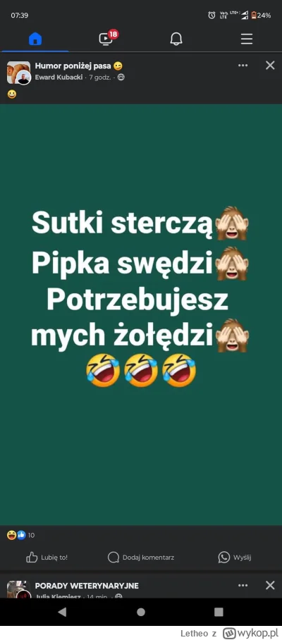 Letheo - #grazynacore #januszcore #heheszki