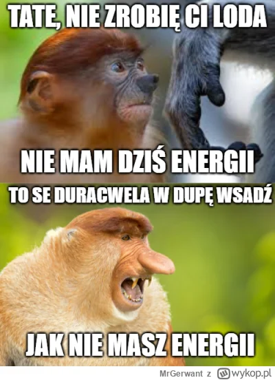 MrGerwant - #konkursnanajbardziejgownianymemznosaczem #polskiedomy