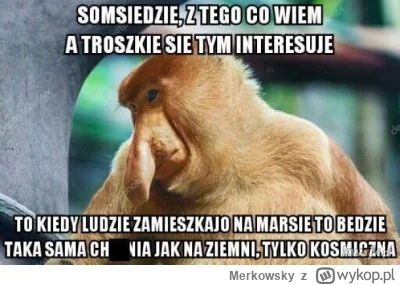 Merkowsky - @gargantel