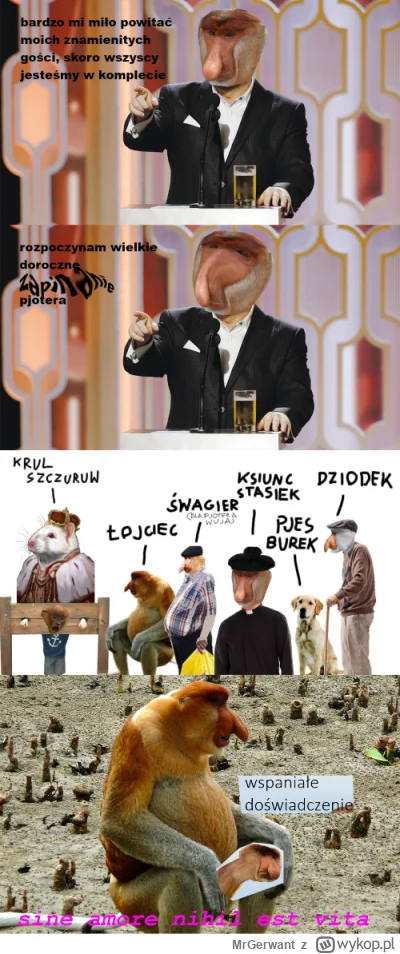 MrGerwant - #konkursnanajbardziejgownianymemznosaczem #polskiedomy
Pamiętaliście o do...