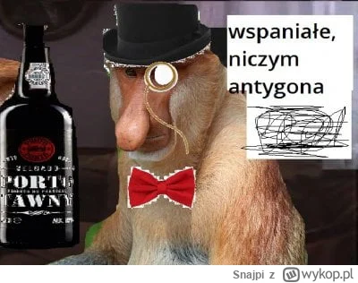 Snajpi - @CosyGrave: 
Taguj #postmemizm