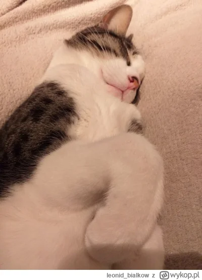 leonid_bialkow - @annlupin: cze dla ciebie