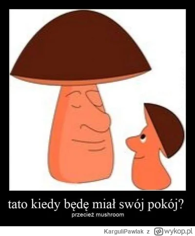 KarguliPawlak - #heheszki