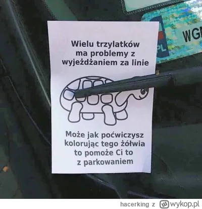 hacerking - #humorobrazkowy #samochody #kierowcy #heheszki