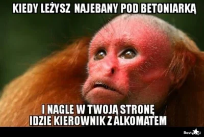 WstretnyOwsik - #ukraina #heheszki #humorobrazkowy