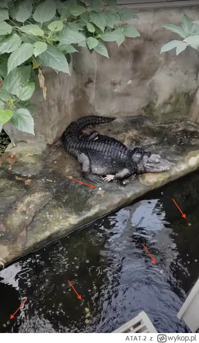 ATAT-2 - XXI wiek, wysyłamy łazika na Marsa i leczymy raka. 
W międzyczasie turyści w...
