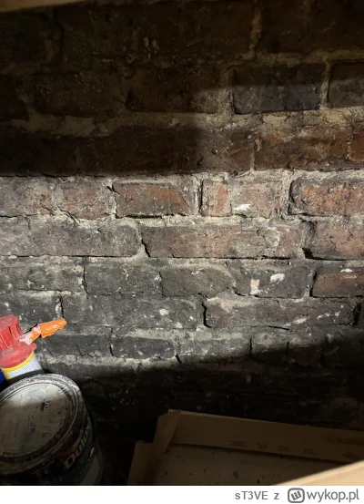 sT3VE - @sT3VE a tak z tyłu