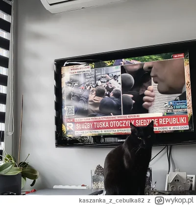 kaszankazcebulka82 - #polityka #tvrepublika