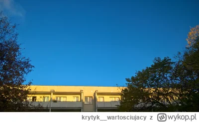 krytyk__wartosciujacy - Kiedyś to niebo było niebieskie
#fotografia kartoflana 
#bojo...