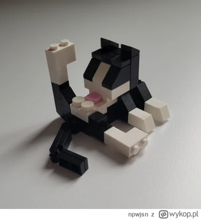 npwjsn - Zakup roku xD

#podrobka #lego #koty #chinskiecuda #chwalesie