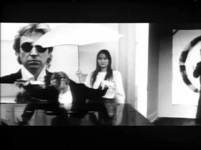 wujek_adam - @Lecter1: Mafia teraz nie odstrzeliwuje tylko organizuje ci koncert The ...