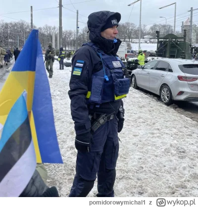 pomidorowymichal1 - Policja z Ukraińskimi flagami?! Czy to jeszcze Estonia?!