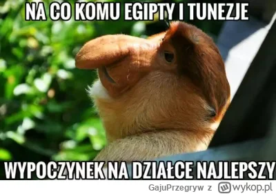 GajuPrzegryw - #wakacje #pomysly #pomocy #corobicjakzyc #heheszki

Od 2 lat nie byłem...