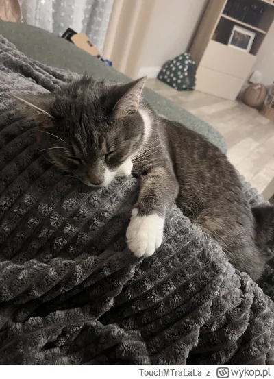 TouchMTraLaLa - @Meciek: poszedłeś na łatwiznę, a wystarczyło pokręcić się po śmietni...