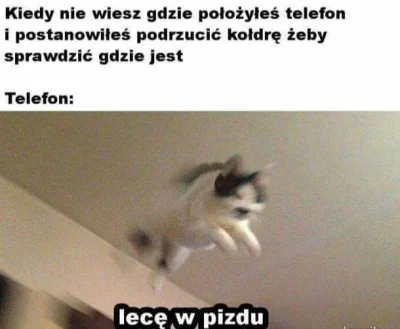 wscieklizna_irl