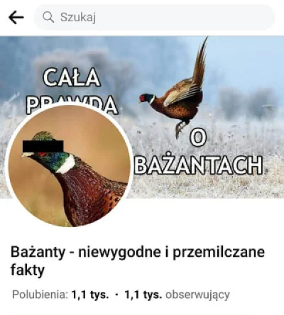 PonuryBatyskaf - Cieszę się że w końcu ktoś przerwał milczenie... #heheszki #humorobr...