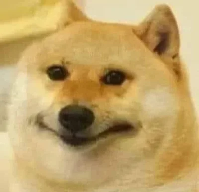 PetalMind - @Kartonzeszklem: