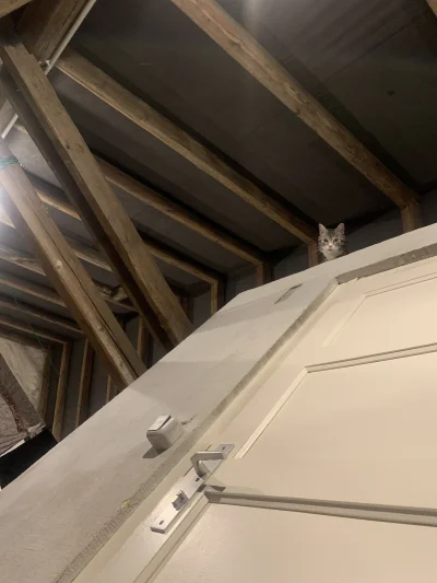 Lujdziarski - @Lujdziarski No haro