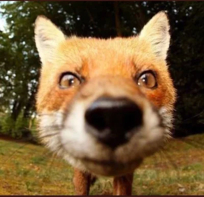 dywergent - zanim pojde spac to ten czas poswiecie na znalezienie nowego zajecia zami...