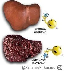 Szczurek_kupiec - #bonzo akat zgadnijcie czyją wątroba jest na górze a czyją na dolę?...