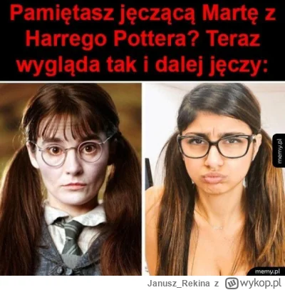 Janusz_Rekina - #harrypotter