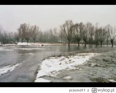 przemd11 - #powodz