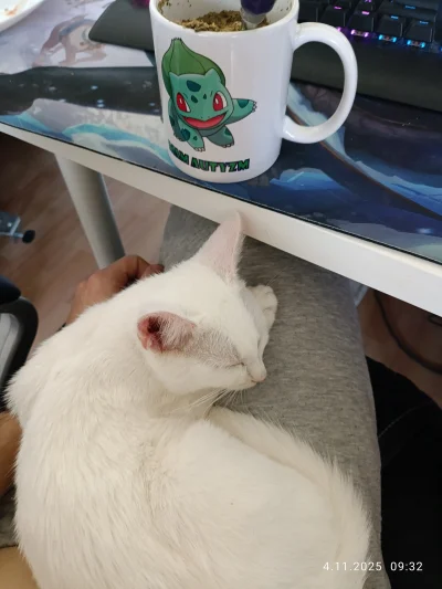 Umeraczyk - Termofor