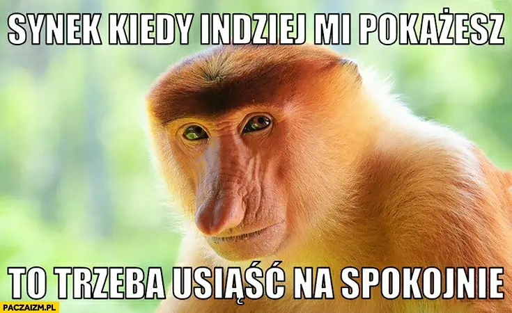 Frwrd05 - @Ninja_xtb5: